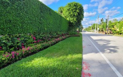 The Value of Estate-Level Landscape Maintenance