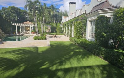 Designing Luxury Landscapes for Palm Beach County Estates